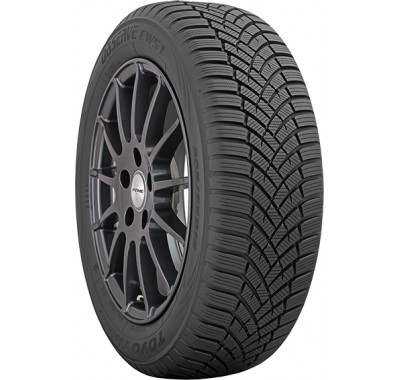 Шины Toyo Observe EWS1 235/45 R17 97V XL